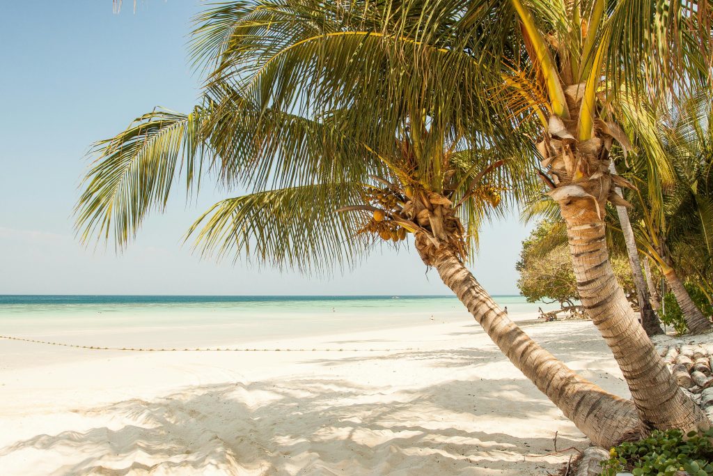 Mejores zonas de playa para visitar en la costa de Kenia - Aventura en Kenia - Malindi